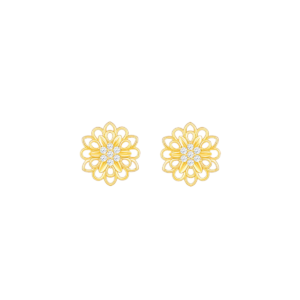 Statement Earrings